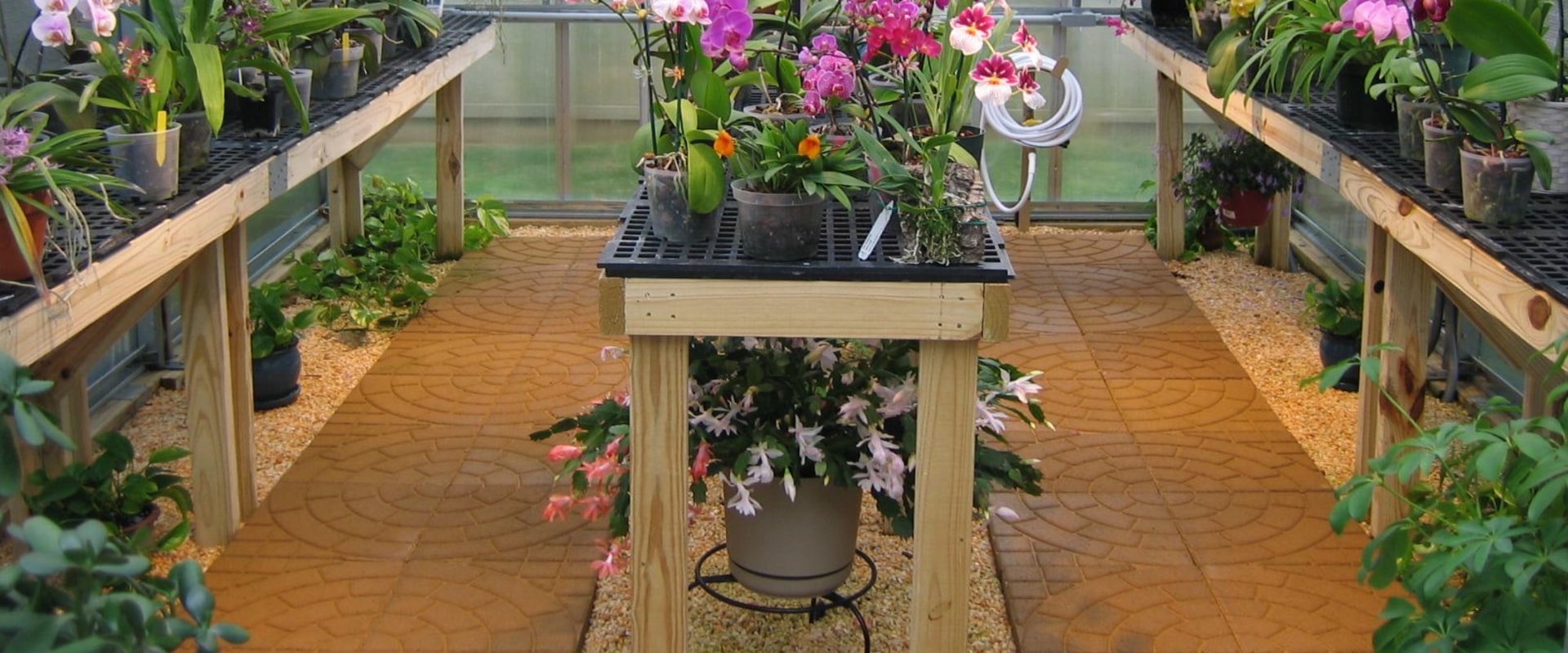 Orchid Gardening for Small Spaces with Smart Equipment Planning
