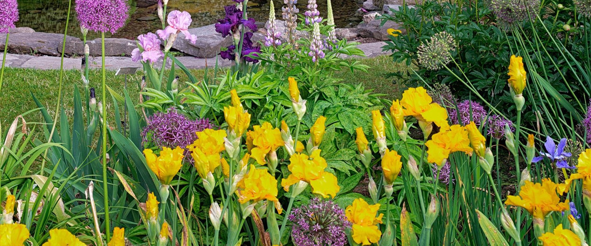 Creating The Perfect Orchid Sanctuary In Murfreesboro: Wild Animal Removal Tips For A Flourishing Garden