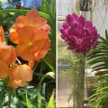 How Landscape Maintenance Supports Thriving Orchid Gardening In Portland