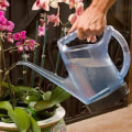 Orchid Gardening Made Easy: How A Windermere Irrigation Contractor Can Help