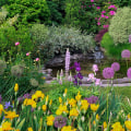 Creating The Perfect Orchid Sanctuary In Murfreesboro: Wild Animal Removal Tips For A Flourishing Garden