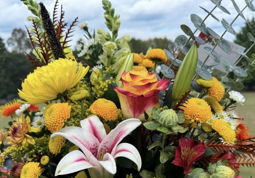 From Pests To Perfection: How Extermination Companies Enhance Orchid Gardening In Fayetteville, GA